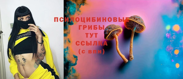 spice Вязьма