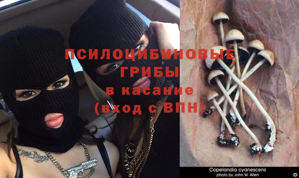круглые Дмитровск