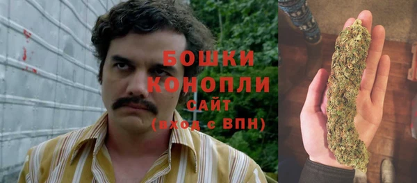 экстази Вяземский