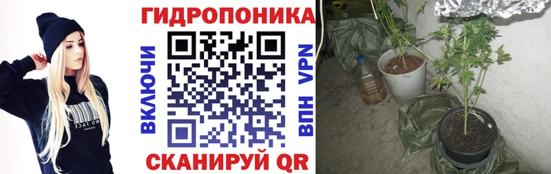 Конопля LSD WEED  Данилов 